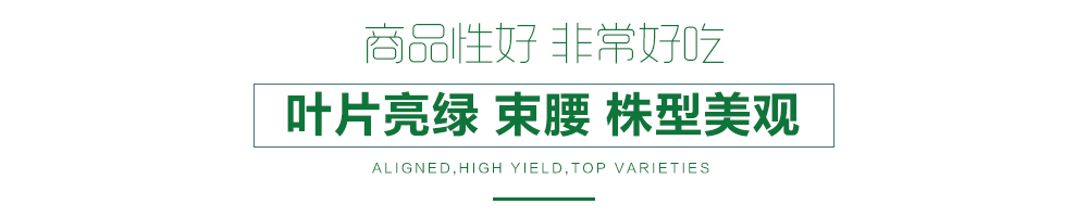 1557804219450654.jpg 詳情頁(yè)12.jpg