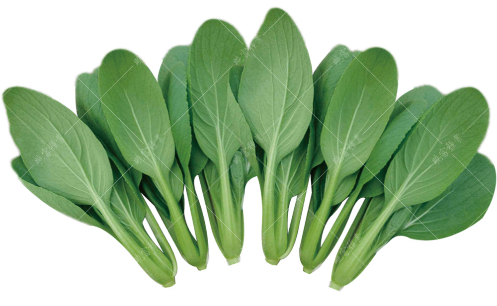 1557821439869765.jpg 主圖.jpg