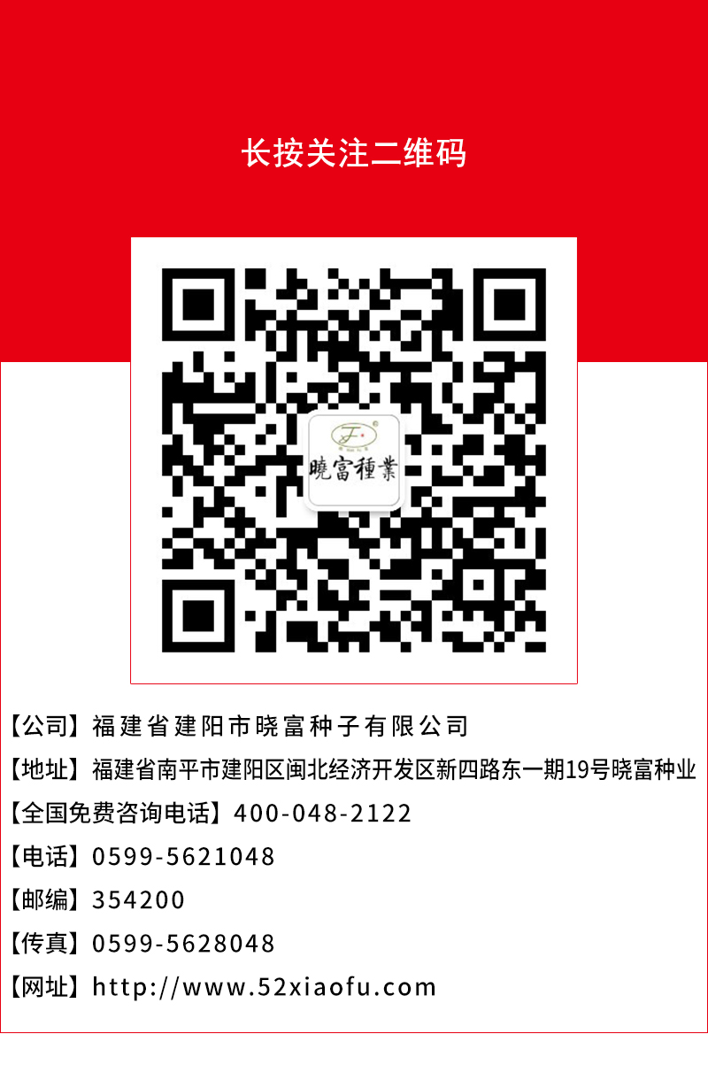 1600502303524600.jpg 頁底.jpg